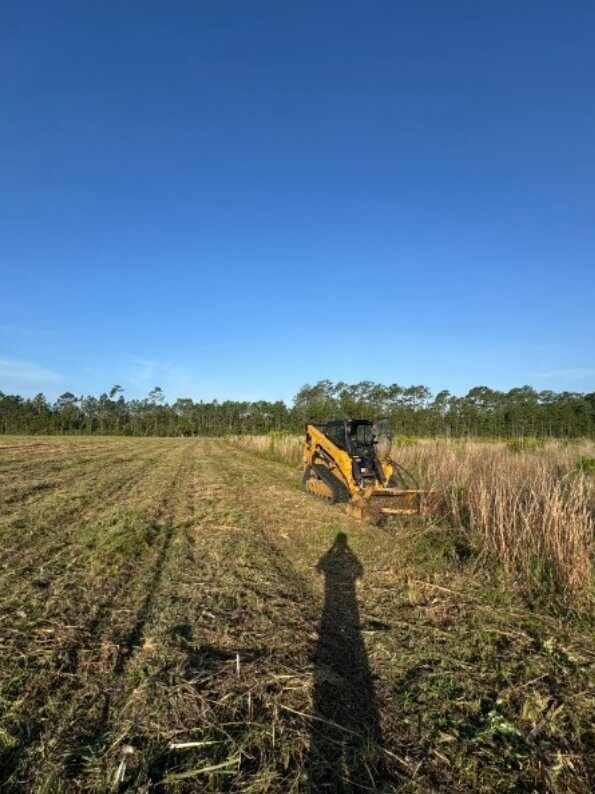 Skid steer with mulching attachment clearing a field of brush in Northeast Florida