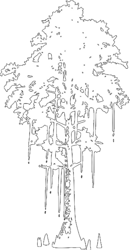 Kristof Land Management cypress tree logo