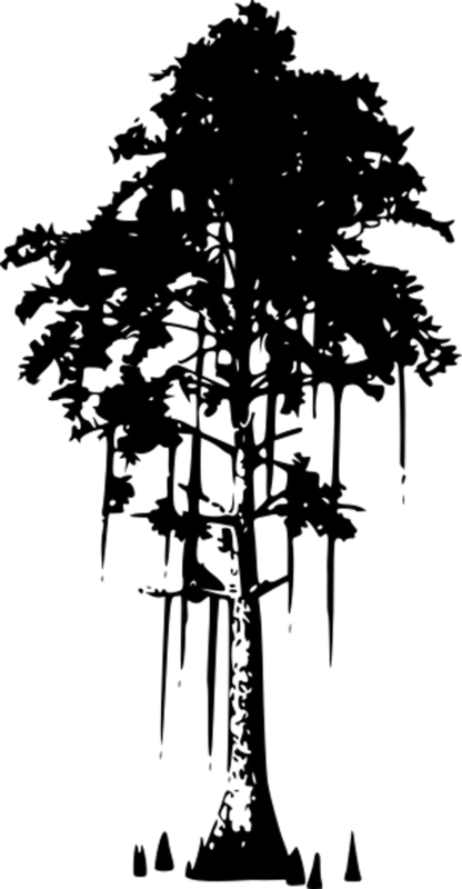 Kristof Land Management cypress tree logo