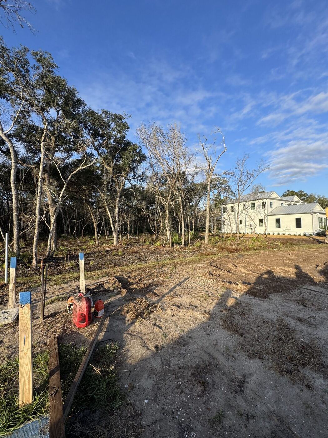 Residential lot in St. Johns County before clearing, dense with trees and brush