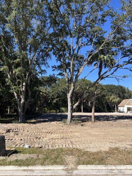 Selectively cleared residential lot with mature live oaks preserved