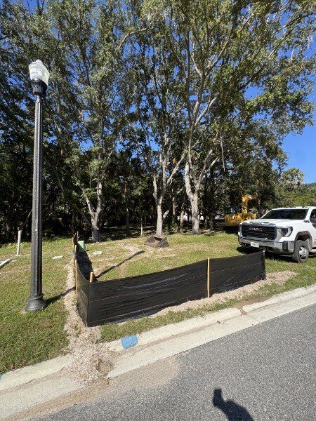 Overgrown residential lot before selective clearing in St. Johns County, with silt fence installed for erosion control