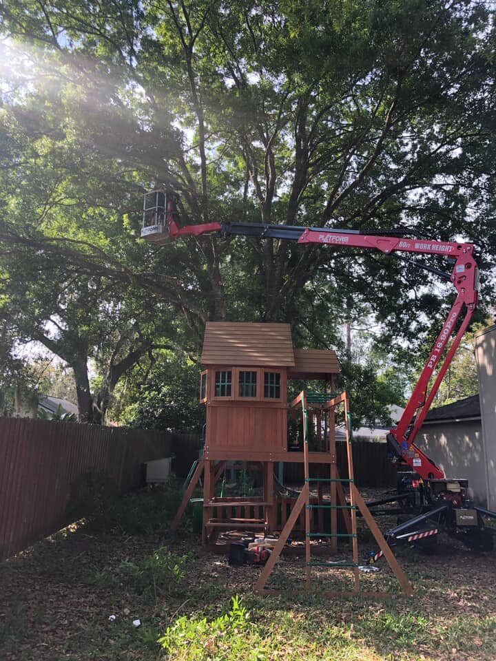 Spider lift tree work accessing a tight residential backyard over a playset
